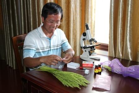 江蘇省農科院王才林所長檢查花粉育性情況
